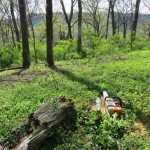 A cooling chainsaw faces south from the summit 