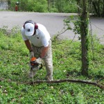 Board member and former BONPS president Jim Kay takes down another sapling