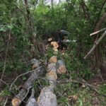 Parke Brown attacks tree that fell on Redoubt grounds