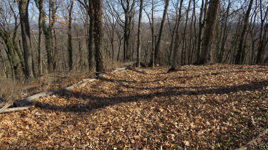 Shy's Hill Trench line (Photo: Tom Lawrence)