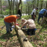 New BONPS Board members at work. L-R, Bobby Whitson, Preston Bain, Albert Austin, Mark Martin and Hunter McDonald.  Also pictures, John Allen and Jim Kay