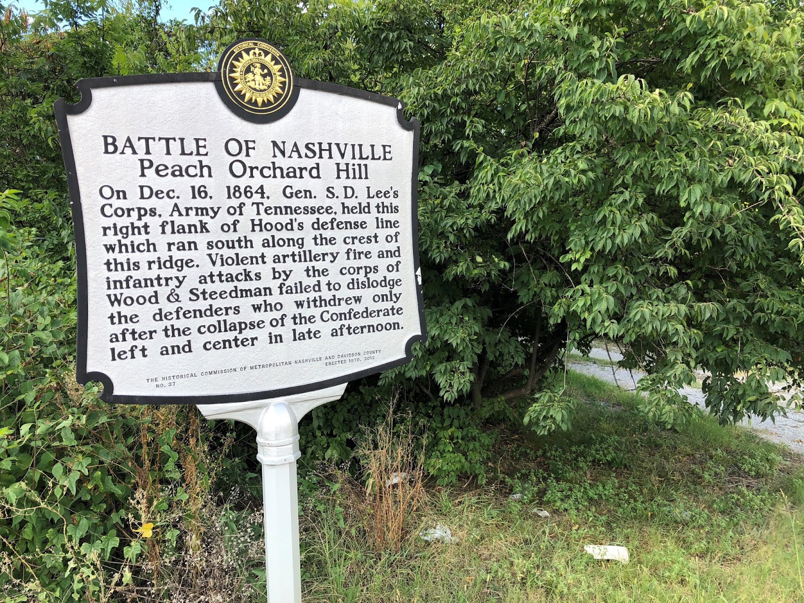 Guerilla Warfare The Battle of Nashville Trust